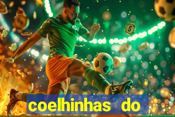 coelhinhas do brasil recife